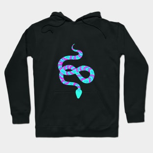 Neon Snakes on Blue Hoodie